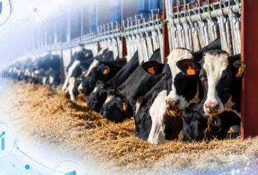 A 3-Pillar Model for Precision Nutrition in Cattle